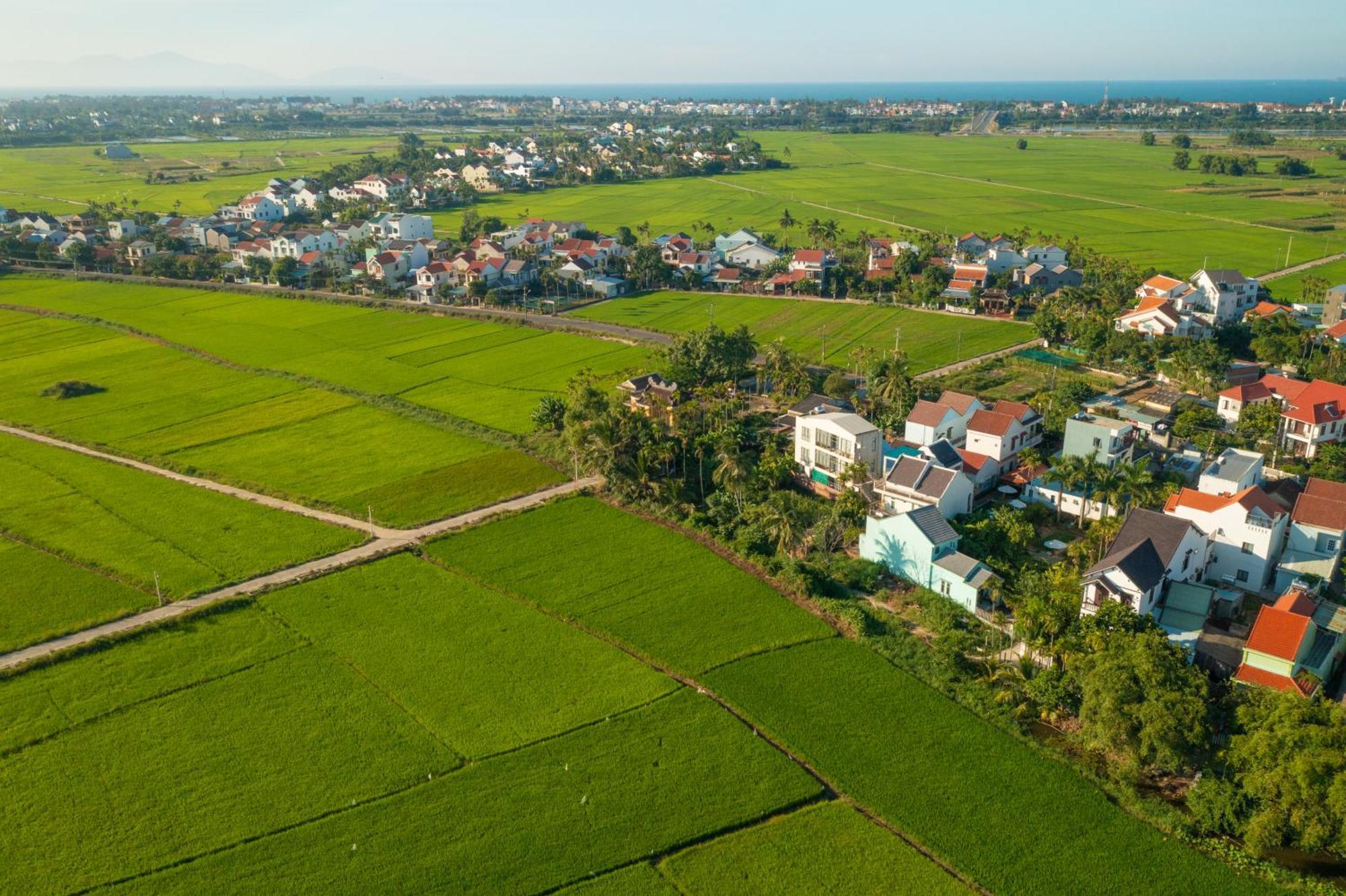 La Uy Villa Hoi An Dış mekan fotoğraf